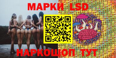 эйфоретик Дубна