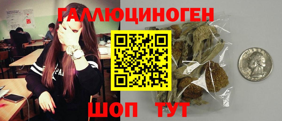 Галлюциногенные грибы прущие грибы  Вход с VPN  Губаха  Галлюциногенные грибы Magic Shrooms 